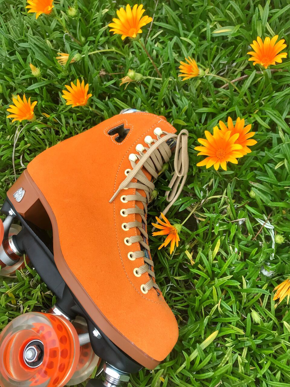 Moxi Lolly Skates - CLEMENTINE